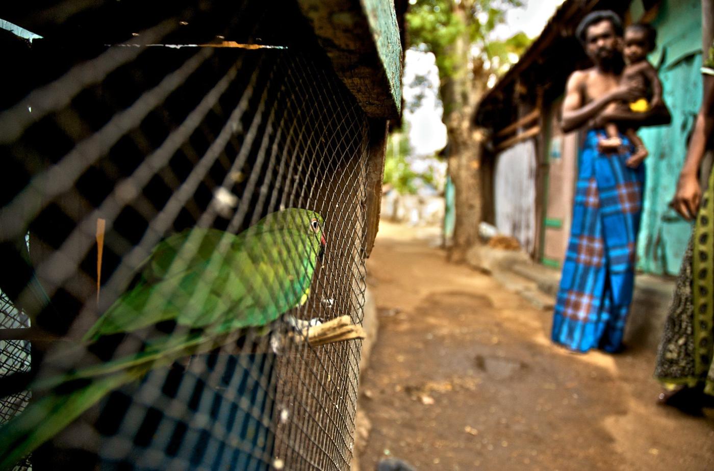 Sri Lankan refugee camp in Rayanur, Karur district